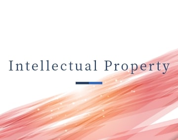 Intellectual Property