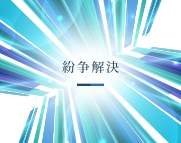 紛争解決
